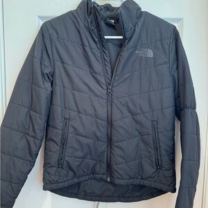 The North Face Black Puffer Jacket with Stand-Up Collar